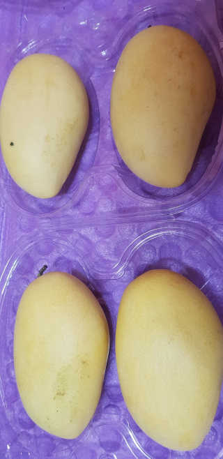 이영실님이 올린 리뷰 사진 2