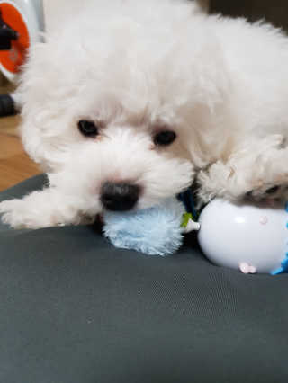 짬뽕이누나님이 올린 리뷰 사진 4