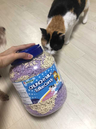 봄날님이 올린 리뷰 사진 1