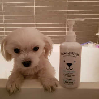 이수진님이 올린 리뷰 사진 1