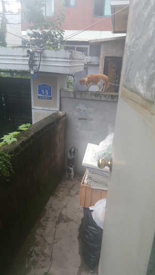 가횽님이 올린 리뷰 사진 1