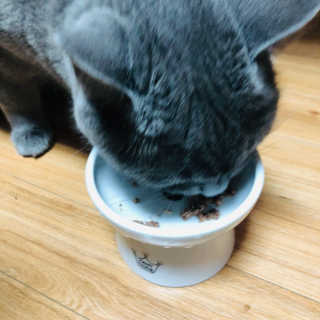 hyel님이 올린 리뷰 사진 3