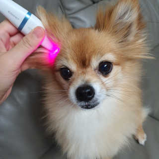 뽀으리이님이 올린 리뷰 사진 2