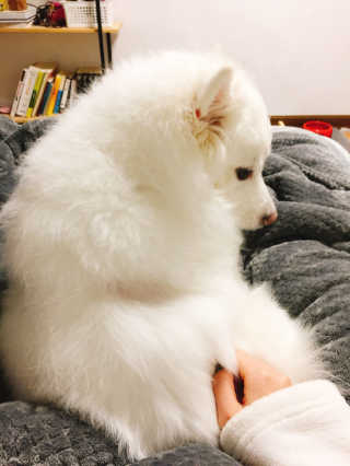 듀님이 올린 리뷰 사진 3