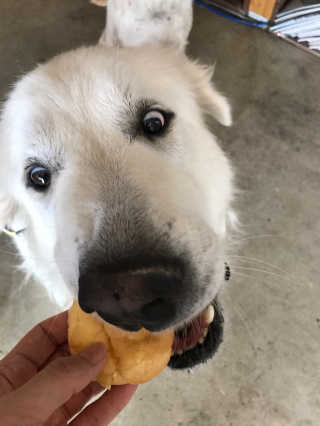 조언니님이 올린 리뷰 사진 3
