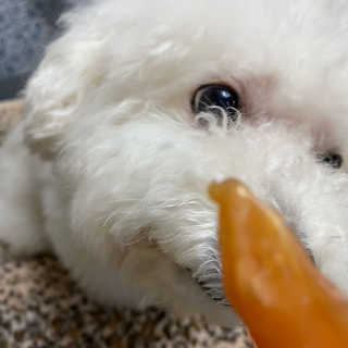 쏨님이 올린 리뷰 사진 1