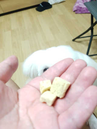 쿠쿠님이 올린 리뷰 사진 3