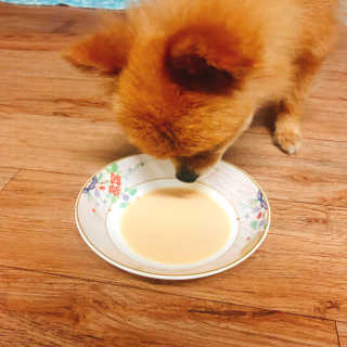 soymilk님이 올린 리뷰 사진 3