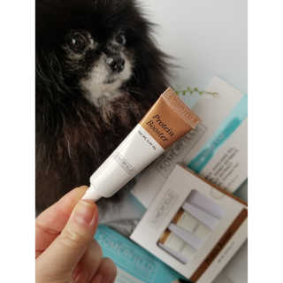 Peepingpomeranian님이 올린 리뷰 사진 2