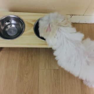 혜진님이 올린 리뷰 사진 3