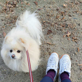 치리짱님이 올린 리뷰 사진 2