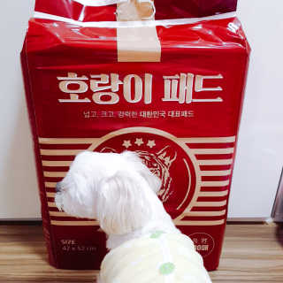 youngran님이 올린 리뷰 사진 1