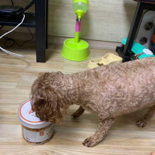 띵구리님이 올린 리뷰 사진 3