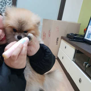 Isabelle Lee님이 올린 리뷰 사진 2