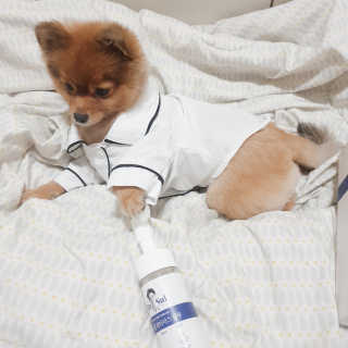 은선이짱님이 올린 리뷰 사진 3
