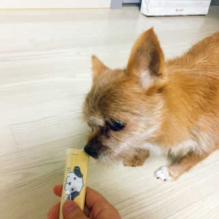 [펫토리아] 강아지,고양이겸용 짜먹는 한입뚝딱 — 5점을 준 리뷰어가 2019년 1월 올린 사용 사진