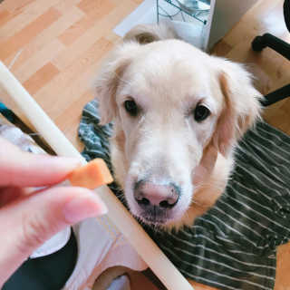 wooriYul님이 올린 리뷰 사진 3