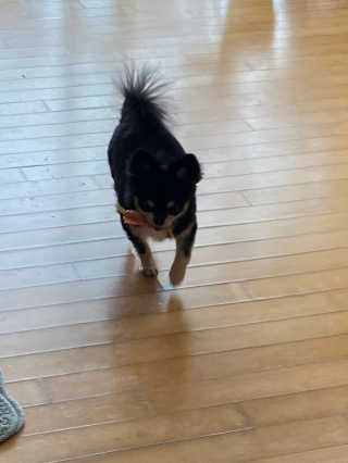 날라차기님이 올린 리뷰 사진 2