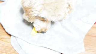 헤이뷰님이 올린 리뷰 사진 4