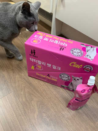 닥터할리펫밀크 8종 — 4점을 준 리뷰어가 2020년 1월 올린 사용 사진