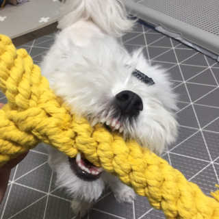 당근님이 올린 리뷰 사진 1