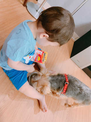 [펫토리아] 토로토로 하치  강아지 파우치간식 — 5점을 준 리뷰어가 2019년 6월 올린 사용 사진