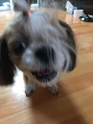 황원채님이 올린 리뷰 사진 3