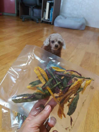 쪼꼬사랑이언니님이 올린 리뷰 사진 2