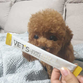 지수님이 올린 리뷰 사진 2