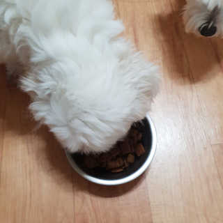 주먹이누나님이 올린 리뷰 사진 3