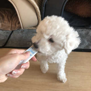 리뷰크러쉬님이 올린 리뷰 사진 4
