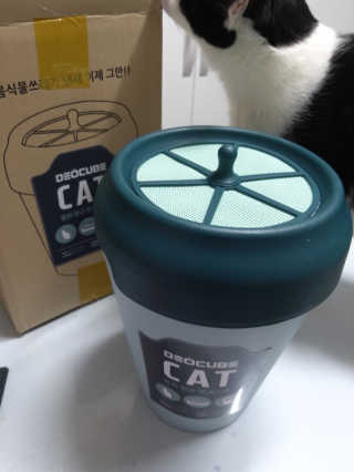 콩톨님이 올린 리뷰 사진 2