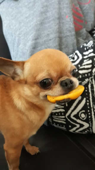 삼공주네님이 올린 리뷰 사진 2