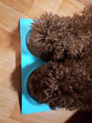 jin68님이 올린 리뷰 사진 2