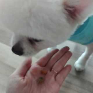 현이님이 올린 리뷰 사진 3