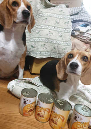 beaglelove님이 올린 리뷰 사진 2