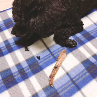 거져줄께잘사가님이 올린 리뷰 사진 2