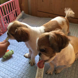 하늘찡님이 올린 리뷰 사진 4
