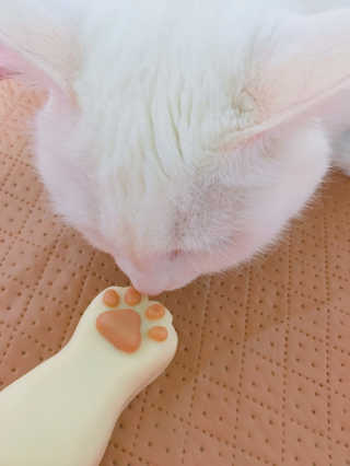 달팽이님이 올린 리뷰 사진 1