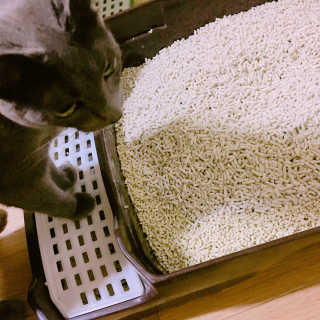 율집사님이 올린 리뷰 사진 2