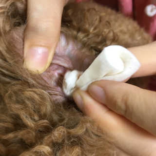 김경희님이 올린 리뷰 사진 3