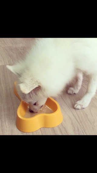뽀으리이님이 올린 리뷰 사진 4