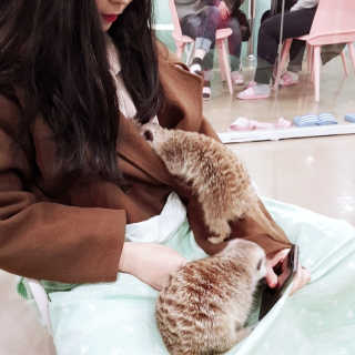 진빵님이 올린 리뷰 사진 1
