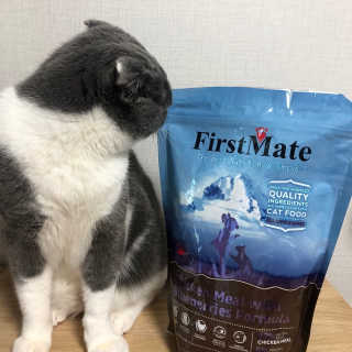 [펫토리아] 퍼스트메이트 고양이 사료 — 5점을 준 리뷰어가 2019년 3월 올린 사용 사진