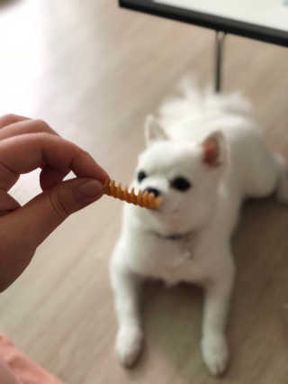박쟈님이 올린 리뷰 사진 4