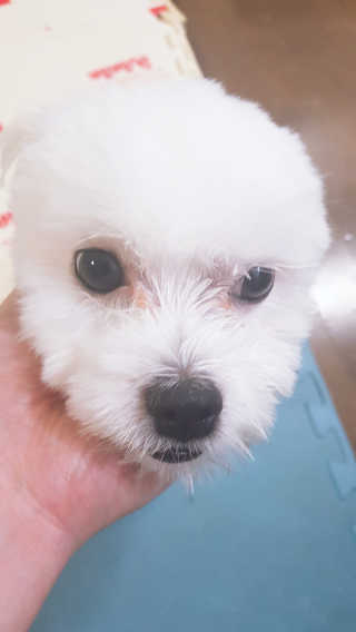 대발님이 올린 리뷰 사진 3