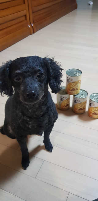 Green님이 올린 리뷰 사진 1