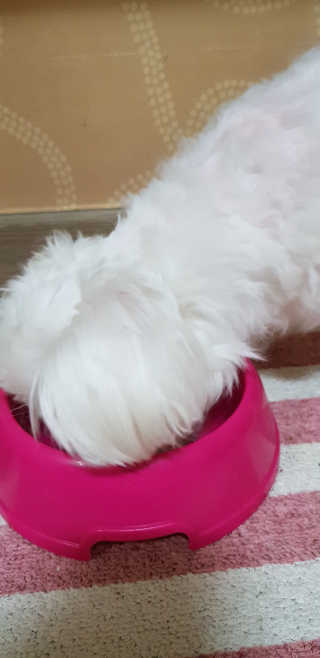 엣헴님이 올린 리뷰 사진 4
