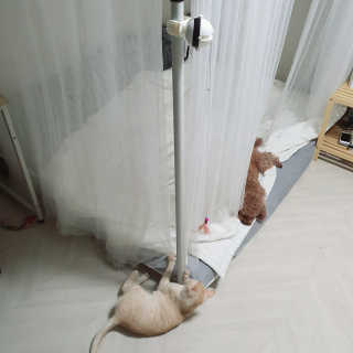 PX3LUV님이 올린 리뷰 사진 1