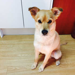 닥스훈트님이 올린 리뷰 사진 1